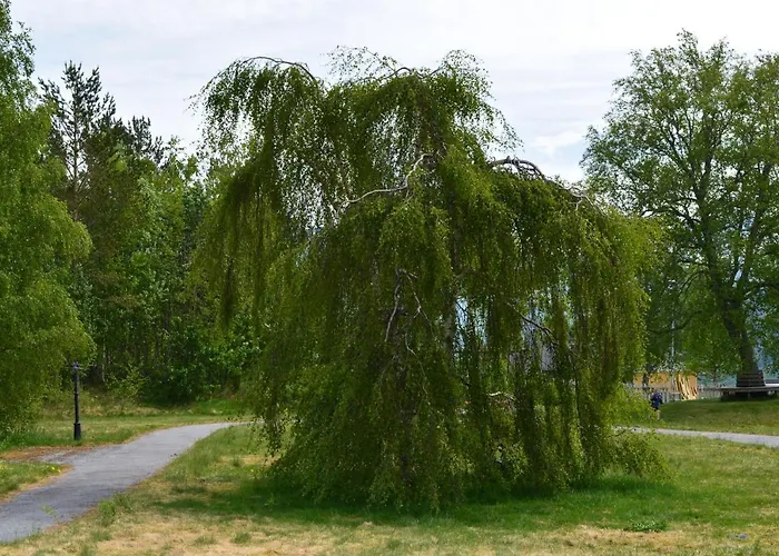 酒店 Turisthotell & 3*