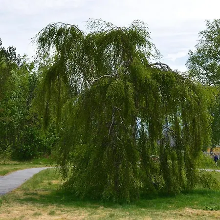 Hotell Turisthotell&motell 3*